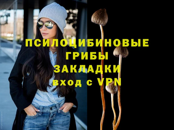 ешки Козловка