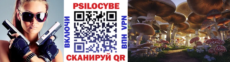 сколько стоит  Сельцо  Галлюциногенные грибы Psilocybe 